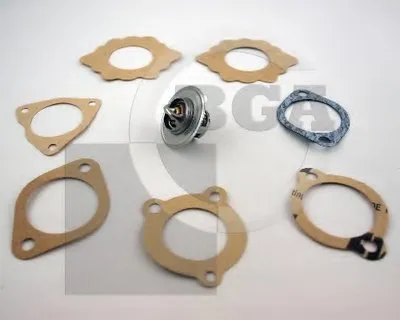 Термостат, охлаждающая жидкость BGA купить