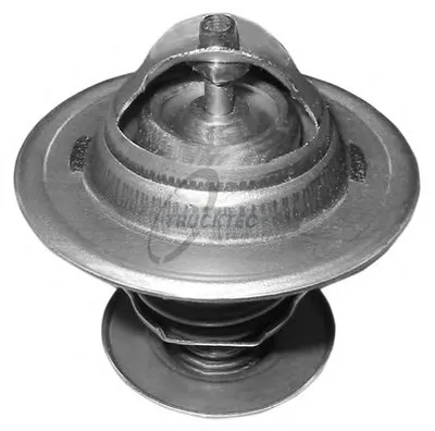 Термостат, охлаждающая жидкость TRUCKTEC AUTOMOTIVE купить