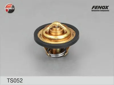 Термостат, охлаждающая жидкость FENOX купить