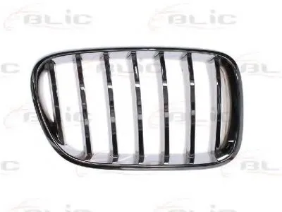 Решетка радиатора BLIC купить