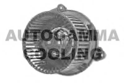 Вентиляция салона AUTOGAMMA купить