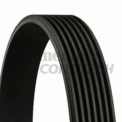 V-Ribbed Belts CONTITECH купить
