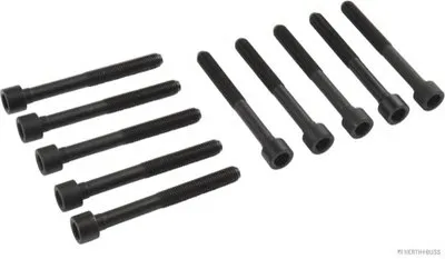 Комплект болтов головки цилидра HERTH+BUSS JAKOPARTS купить