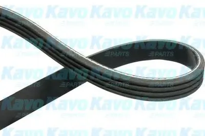 V-Ribbed Belts KAVO PARTS купить