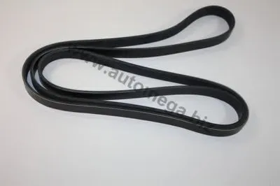 V-Ribbed Belts AutoMega Premium AUTOMEGA купить