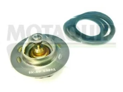 Термостат, охлаждающая жидкость MOTAQUIP купить