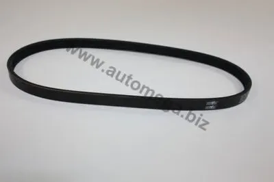 V-Ribbed Belts AutoMega Premium AUTOMEGA купить