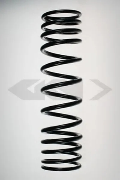 винтовая пружина SPIDAN купить