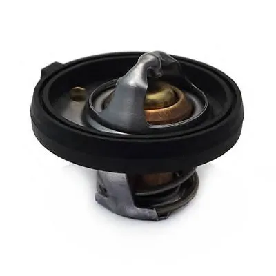 Термостат, охлаждающая жидкость FISPA купить