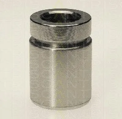 Поршень, корпус скобы тормоза TRISCAN купить