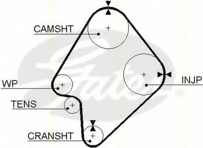 Ремень ГРМ TRISCAN купить