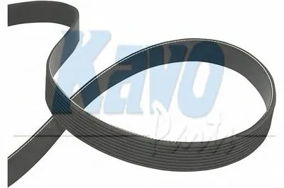 V-Ribbed Belts KAVO PARTS купить