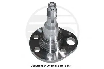 ? колесн. ступицы = BIRTH купить