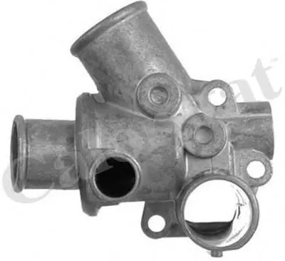 Термостат, охлаждающая жидкость CALORSTAT by Vernet купить