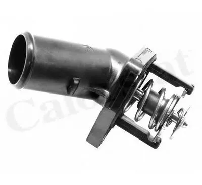 Термостат, охлаждающая жидкость CALORSTAT by Vernet купить