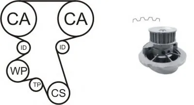 Водяной насос + комплект зубчатого ремня AIRTEX купить