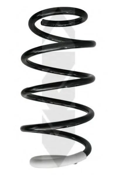 винтовая пружина SPIDAN купить