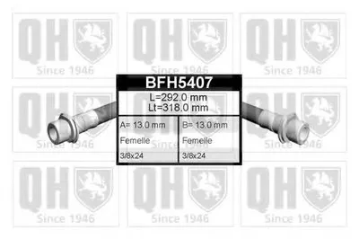 Тормозной шланг QUINTON HAZELL купить