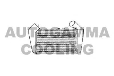 Интеркулер AUTOGAMMA купить