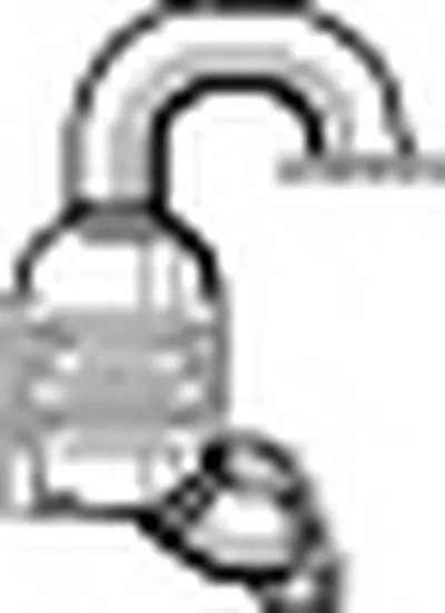 Катализатор для переоборудования WALKER купить