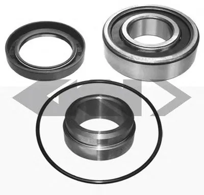 Комплект подшипника ступицы колеса SPIDAN купить