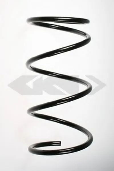 винтовая пружина SPIDAN купить