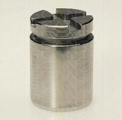 Поршень, корпус скобы тормоза TRISCAN купить