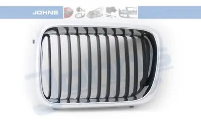 Решетка радиатора JOHNS купить