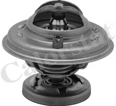 Термостат, охлаждающая жидкость CALORSTAT by Vernet купить