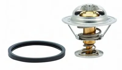 Термостат, охлаждающая жидкость HOFFER купить