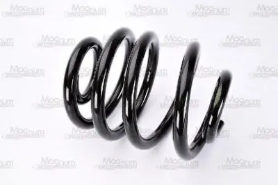 винтовая пружина Magnum Technology купить