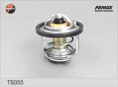 Термостат, охлаждающая жидкость FENOX купить