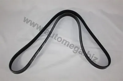 V-Ribbed Belts Erstausrüster AUTOMEGA купить