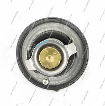 Термостат, охлаждающая жидкость NPS купить