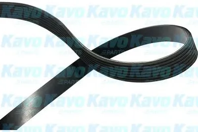 V-Ribbed Belts KAVO PARTS купить