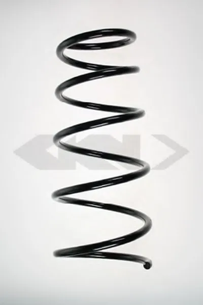 винтовая пружина SPIDAN купить