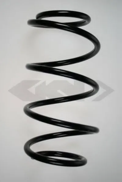 винтовая пружина SPIDAN купить