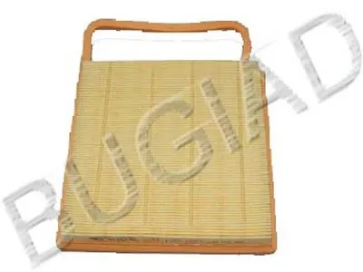 Воздушный фильтр BUGIAD купить