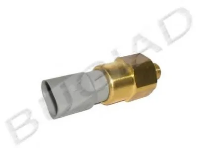 Выключатель с гидропроводом BUGIAD купить