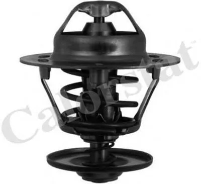 Термостат, охлаждающая жидкость CALORSTAT by Vernet купить