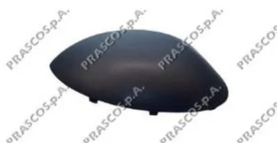Покрытие, внешнее зеркало PRASCO купить