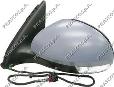 Наружное зеркало PRASCO купить