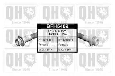 Тормозной шланг QUINTON HAZELL купить