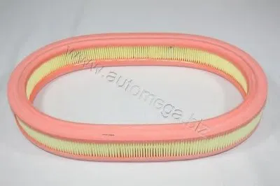 Воздушный фильтр AutoMega Premium AUTOMEGA купить