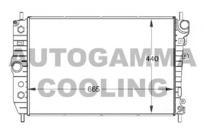 Радиатор, охлаждение двигателя AUTOGAMMA купить