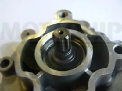 Водяной насос MOTAQUIP купить