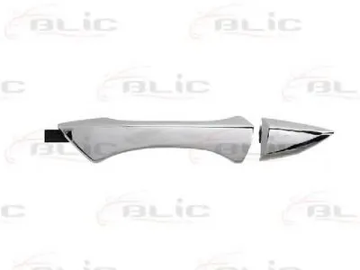 Ручка двери BLIC купить