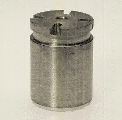 Поршень, корпус скобы тормоза TRISCAN купить