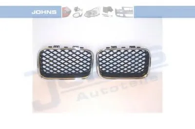 Решетка радиатора JOHNS купить