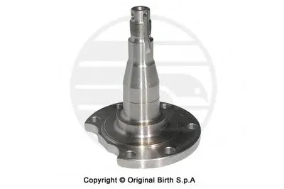 ? колесн. ступицы = BIRTH купить